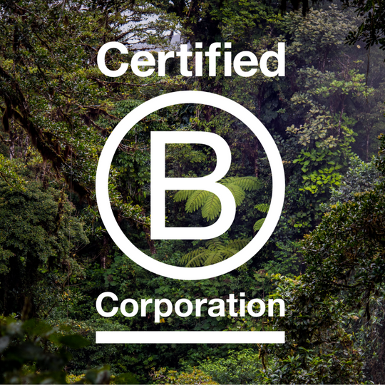 B-CORP CERTIFIED & BIG ON SUSTAINABILITY