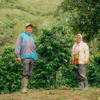 Gayo Kenawat Manis Madu