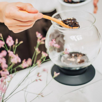 HARIO Tea Dripper LARGO Stand Set