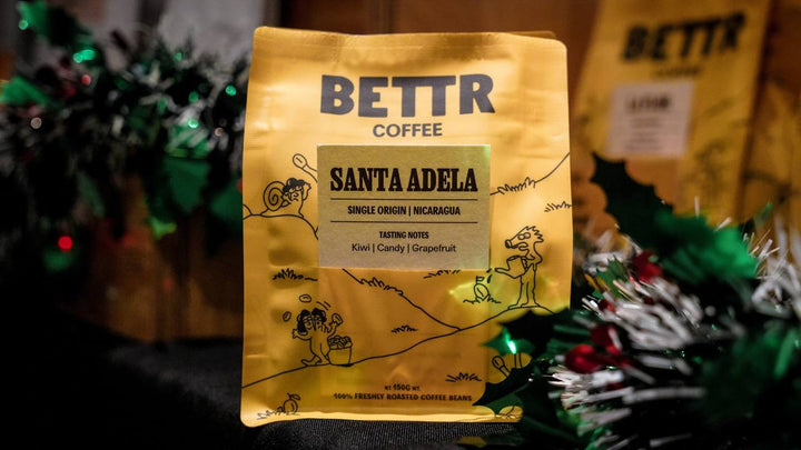 Santa Adela Brew Guide