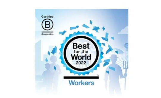 Best For The World™ B Corp (Workers) 2022