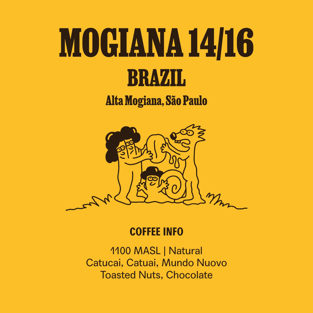 Brazil Mogiana 14/16 (Raw)