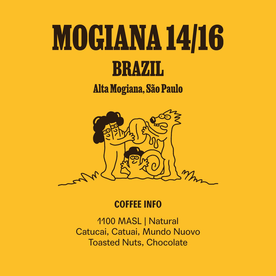 Brazil Mogiana 14/16 (Raw)