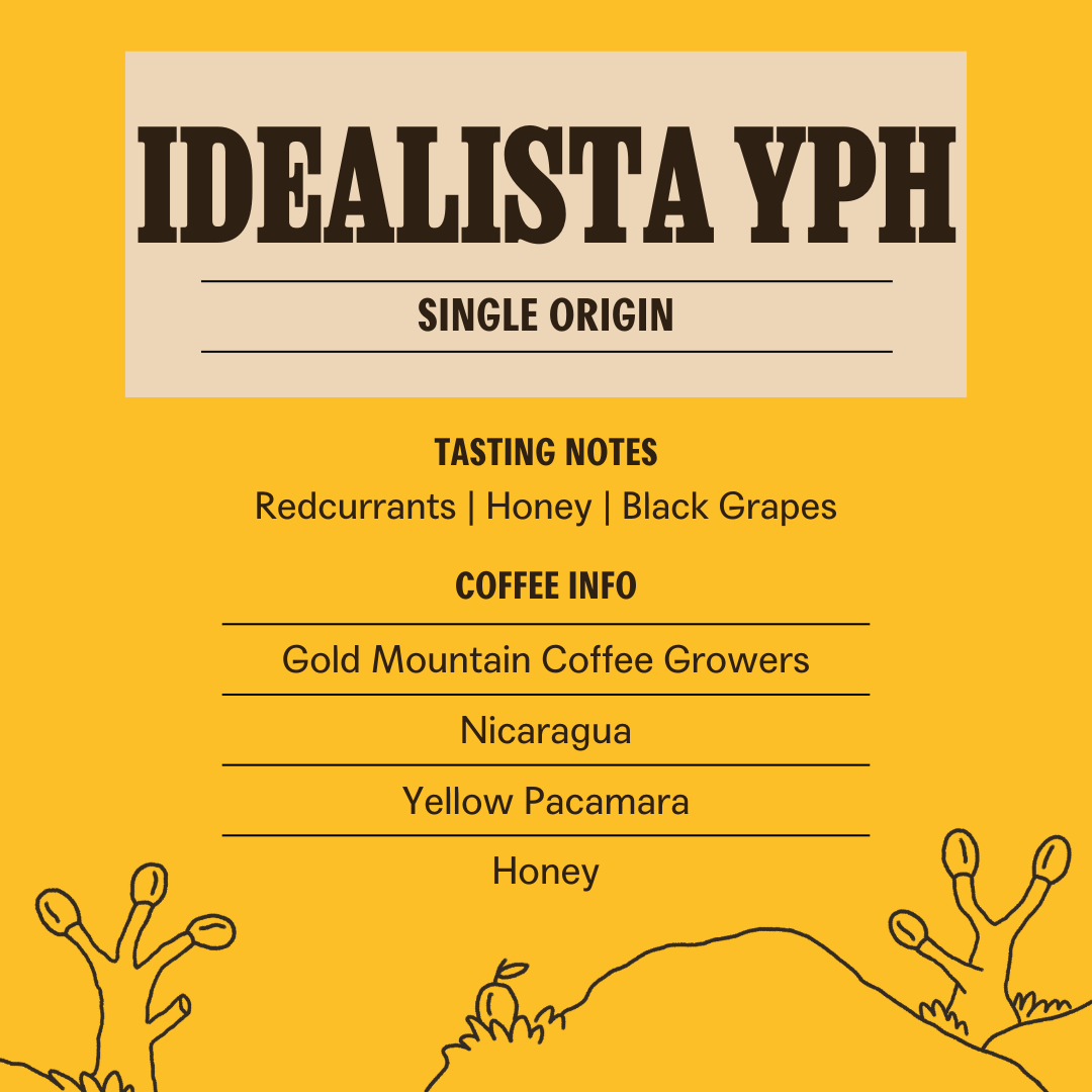 Finca Idealista Yellow Pacamara Honey