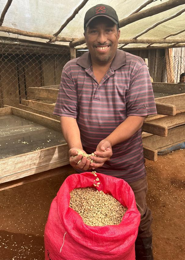 Los Regalos Microlot