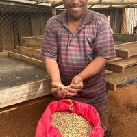 Los Regalos Microlot