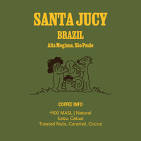 Brazil Fazenda Santa Jucy