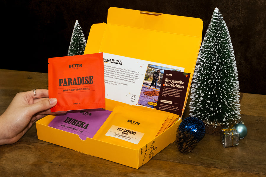 Brewer's Dozen Giftbox