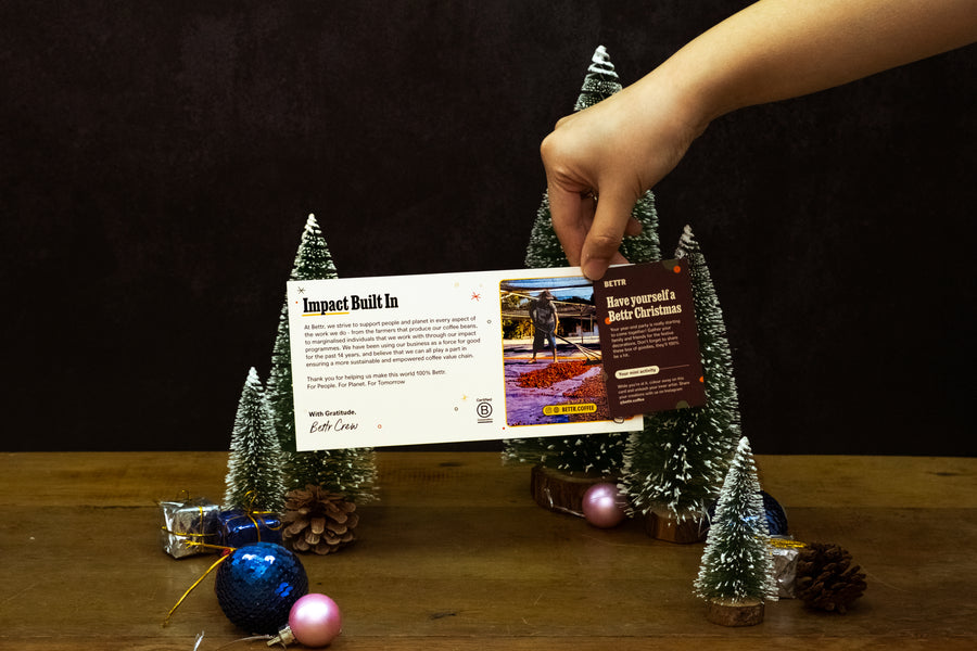 Brewer's Dozen Giftbox