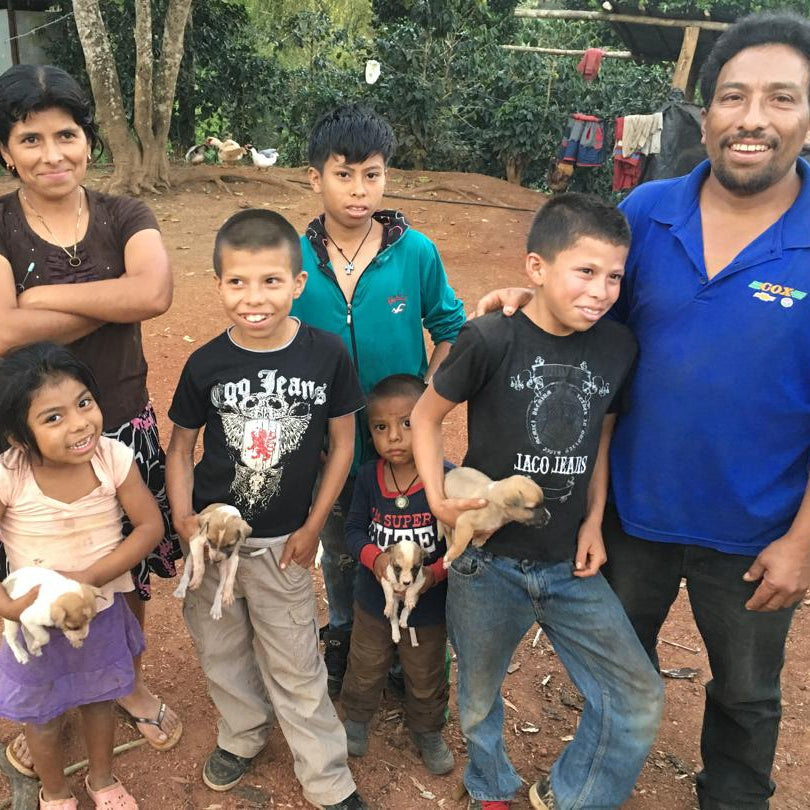 Los Regalos Microlot