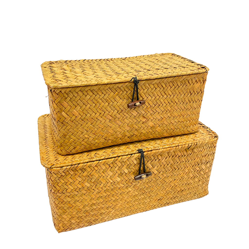 Eco-friendly Seagrass Storage Box