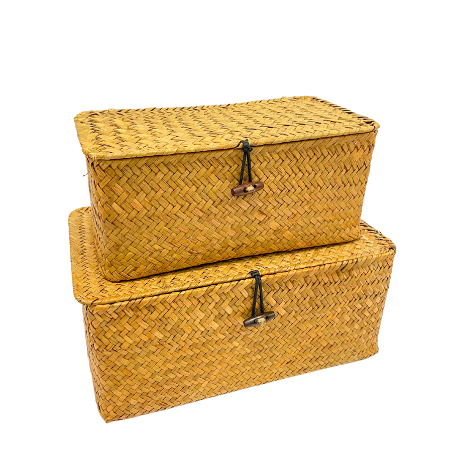 Eco-friendly Seagrass Storage Box